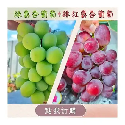 鮮果go|韓國|巨無霸綠麝香葡萄x緋紅麝香葡萄(禮盒款)